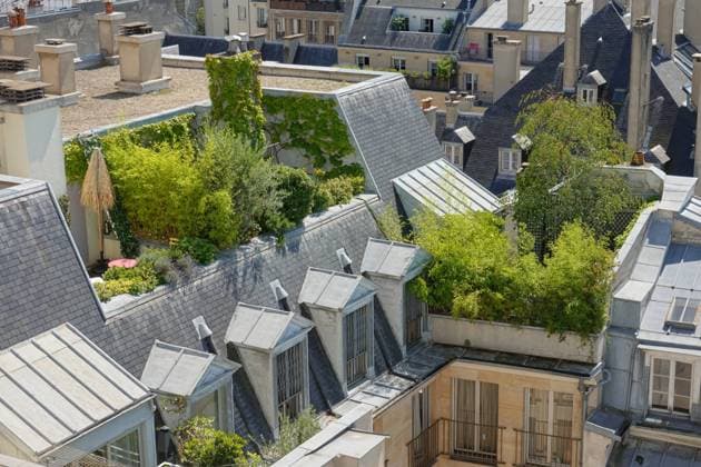 IMAGO Creative, Urban Lifestyle Paris, Dachgarten im Marais Paris, Rooftop Terrace in Marais Quarter *** Paris, Rooftop Garden in Marais Paris, Rooftop Terrace in Marais Quarter