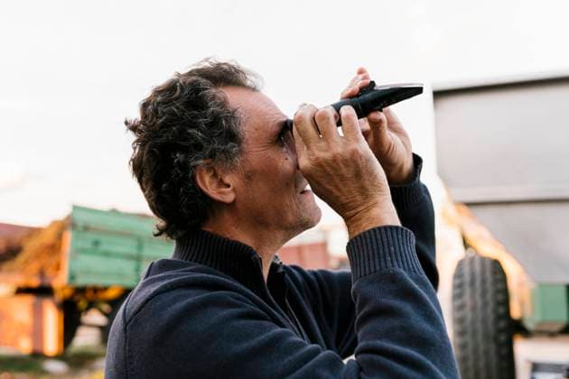 Man looking through refractometer at winery model released Symbolfoto EGAF00978
