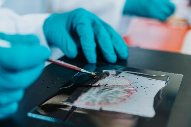 Close-up of scientists working on human brain slide at laboratory model released Symbolfoto property released MFF06510