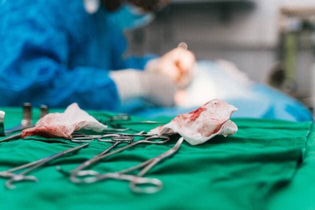 Kit of various surgical instruments and bloody napkins in operating room of veterinary hospital during surgery with crop anonymous doctor treating patient, Model released IoritzLopez_VetClinicAmaita_37.jpg Copyright: xIoritzxLopezx MR