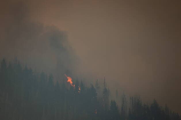 August 11, 2021, MERRITT, BC, Canada: Flames consume trees as the July Mountain wildfire burns along the Coquihalla Highway south of Merritt, B.C., on Wednesday, August 11, 2021. MERRITT Canada  - ZUMAc35_ 20210811_zaf_c35_284 Copyright: xDarrylxDyckx