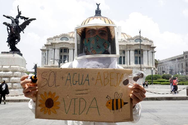 News Bilder des Tages National Bee Day In Mexico MEXICO CITY, MEXICO - AUGUST 17: A beekeeper from Abejas de Barrio of Xochimilco, holds a placard while protest to demand More Pollination and Less Pesticides as a campaign to protect the bees during the National Bee Day at Palace of Fine Arts on August 17, 2021 in Mexico City, Mexico. Copyright: xLuisxBarronx EYEPIXGROUP_LB_17082021_12402