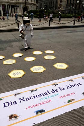 National Bee Day In Mexico MEXICO CITY, MEXICO - AUGUST 17: A beekeeper from Abejas de Barrio of Xochimilco, holds a bee smoker while protest to demand More Pollination and Less Pesticides as a campaign to protect the bees during the National Bee Day at Palace of Fine Arts on August 17, 2021 in Mexico City, Mexico. Copyright: xLuisxBarronx EYEPIXGROUP_LB_17082021_12404
