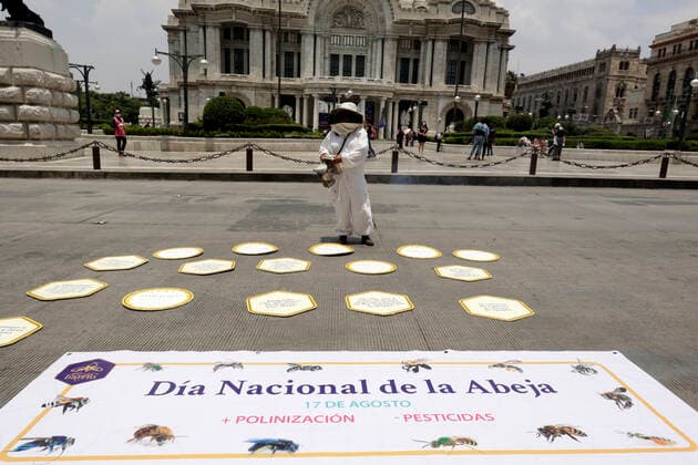 National Bee Day In Mexico MEXICO CITY, MEXICO - AUGUST 17: A beekeeper from Abejas de Barrio of Xochimilco, holds a bee smoker while protest to demand More Pollination and Less Pesticides as a campaign to protect the bees during the National Bee Day at Palace of Fine Arts on August 17, 2021 in Mexico City, Mexico. Copyright: xLuisxBarronx EYEPIXGROUP_LB_17082021_12405