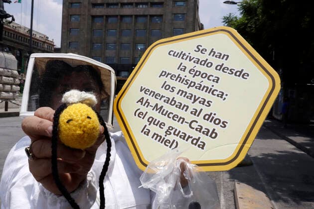 National Bee Day In Mexico MEXICO CITY, MEXICO - AUGUST 17: A beekeeper from Abejas de Barrio of Xochimilco, holds a placard while protest to demand More Pollination and Less Pesticides as a campaign to protect the bees during the National Bee Day at Palace of Fine Arts on August 17, 2021 in Mexico City, Mexico. Copyright: xLuisxBarronx EYEPIXGROUP_LB_17082021_12399