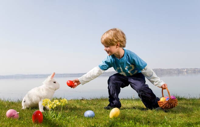 boy, bunny finding easter eggs RF, Henglein & Steets, 17 11 2009, Copyright: xHengleinxandxSteetsx bending,showing,holding,assembling,offering,animal,rabbit,one animal,pet,color,multi colored,colorful,copy space,front view,full length,horizontal,curve,anticipation,at home,childhood,concentration,curiosity,discovery,tame,traditional,youth,festive,fun,innocence,vibrant,appreciation,bliss,excitement,happiness,joy,satisfaction,trust,nature,plant,grass,basket,easter egg,people,child,caucasian ethnicity,male,boy,one person,location,europe,outdoors,lake,spring season,day,celebrations,easter,arms open,handing,squatting,standing,lifestyle,sunlight,national culture,leisure,display,expectations,gather,gathered,gathering,multicolor,naive,tradit Ref:12has0160rf