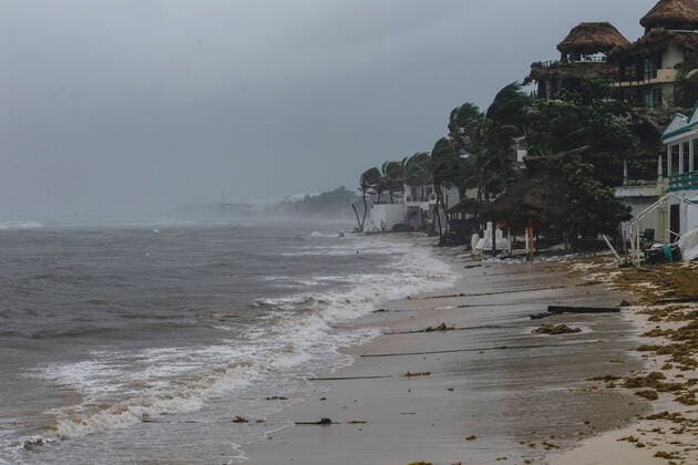 Hurrican Grace Hits Playa Del Carmen Coast PLAYA DEL CARMEN, MEXICO - AUGUST 19: strong gusts of wind cause the palm trees to move while Category 1 Hurricane Grace hit Playa del Carmen in the Mexican Caribbean. On August 19, 2021 in Playa Del Carmen, Mexico. Copyright: xNataliaxPescadorx EYEPIXGROUP_NP_19082021_12570