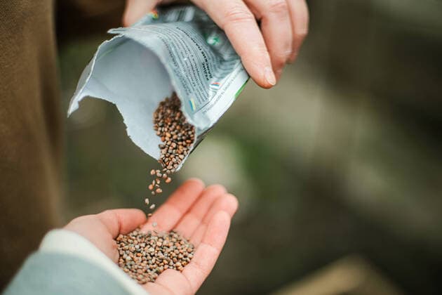 IMAGO Creative: Stadt und Land, Slowflower Bewegung IMAGO Creative: Klimawandel - Umwelterziehung Planting seeds for their vegetable garden CR_INCH210810DC-813795-01 ,model released, Symbolfoto