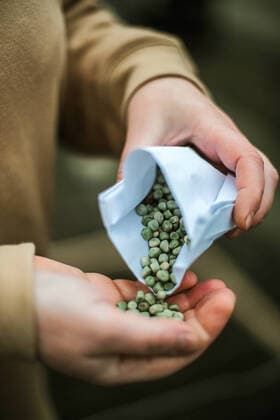 IMAGO Creative: Stadt und Land, Slowflower Bewegung Planting seeds for their vegetable garden CR_INCH210810DC-813800-01 ,model released, Symbolfoto