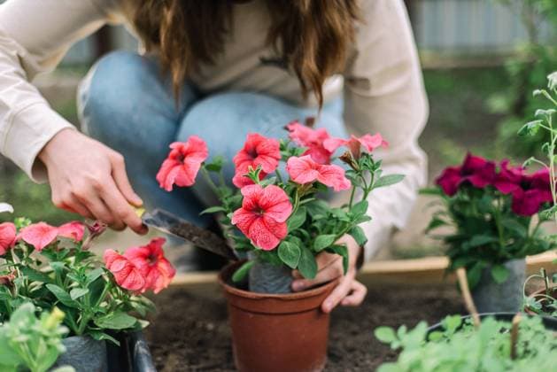 IMAGO Creative, Lifestyle, Frühling in der Stadt Woman planting flower in a flower pot Oakland, California, United States CR_INCH210811-813976-01 ,model released, Symbolfoto