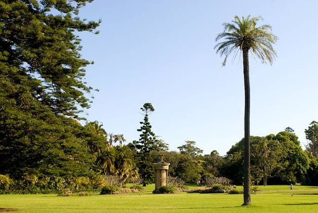 Royal Botanic Garden in Sydney, Australien, Sydney Royal Botanic Garden in Sydney, Australia, Sydney BLWS650694 *** Royal Botanic Garden in Sydney, Australia, Sydney Royal Botanic Garden in Sydney, Australia, Sydney BLWS650694 Copyright: xblickwinkel McPHOTO B.xLeitnerx