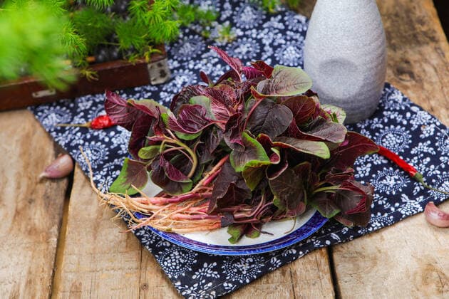 IMAGO Nature: Unsere Erde, Klimawandel, Ernährung, Pflanzen der Zukunft, Amaranth Red amaranth China, 25 01 2021, Copyright: xViewxStockx, Ref:dspd120085f07.jpg, Vegetable,Red amaranth,Joseph s Coat Rose,Still Life,Food,china,Meals,Preparation,Container,Freshness,Close-Up,eating utensil,Food And Drink,Chinese Food,Plain Background,Nobody,Photography,Indoors,Color Image,Foods and Drinks,Well Being,Horizontal,Studio Shot,Healthy Eating,Group of Objects,Gourmet,Oriental cuisine,Plate,Tray,Bok Choy,Vitamin,Organic,Raw,Dieting,Small Group of Objects,Green,Harvesting,Stack,Edible,Fiber,Heap,Nutrient,Collection,Preparing Food Copyright: xViewxStockx