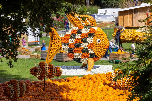 Kürbisausstellung im Blühenden Barock Ludwigsburg. Nach Angaben des Veranstalters ist es die weltgrößte Show dieser Art. In diesem Jahr dreht sich im Reich der Kürbisse alles um das Thema Fantastische Unterwasserwelt. Die Kürbis-Ausstellung findet in diesem Jahr zum 22. Mal statt und dauert bis zum 5. Dezember. 27.08.2021: Deutschland, Baden-Württemberg, Ludwigsburg. *** Pumpkin exhibition in the Blühenden Barock Ludwigsburg According to the organizer, it is the worlds largest show of its kind This year, in the realm of pumpkins, everything revolves around the theme Fantastic Underwater World The pumpkin exhibition takes place this year for the 22nd time and lasts until 5 December 27 08 2021 Germany, Baden Württemberg,