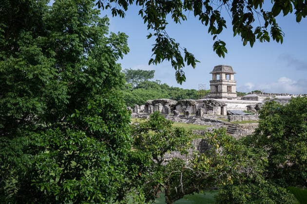 Tourism Recovers In Mexico Amid Surge In Covid-19 Cases Despite an ongoing global surge in new coronavirus cases due to the Delta variant, among other Covid-19 mutations, the tourism sector in Mexico recovered slightly in the late summer of 2021 as tourists and international visitors pursued travel following vaccination campaigns in their home countries. Above, tourists visit Mayan pyramids and ruins in Palenque, Chiapas, Mexico on 25 August, 2021. San Cristobal de las Casas, Palenque, Chichen Itza, Cancun Mexico cupolo-notitle210901_npXtm  Copyright: xDiegoxCupolox