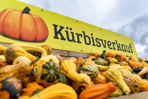 Gersthofen, Bavaria, Germany - 29 August 2021: various pumpkins are offered for sale at a self-service stall. Hokkaido pumpkin, Butternut, Crown Prince and ornamental pumpkins *** verschiedene Kürbisse werden an einem Verkaufsstand mit Selbstbedienung zum Verkauf Angeboten. Hokkaidokürbis, Butternut, Crown Prince und Zierkürbisse