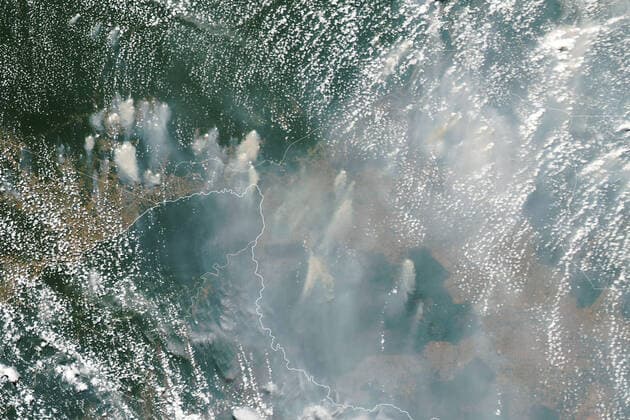 August 24, 2021 - Brazil - Morton and colleagues share their insights on South American fires through NASA s Amazon fire dashboard, a tool that helps observers distinguish between fires that cause more and less ecological damage. Deforestation and understory forest fires (low-intensity blazes that creep along the leaf litter on the forest floor) cause the most lasting damage and contribute to the build-up of carbon dioxide and other greenhouse gases in the atmosphere. Savanna and small clearing fires tend to have short-lived effects. The dashboard assimilates observations of the intensity and patterns of active fire detections by the Visible Infrared Imaging Radiometer Suite (VIIRS) sensor. (Read this for more details about how the tool cat - ZUMAz03_ 20210824_skp_z03_672 Copyright: xNASAxEarthx