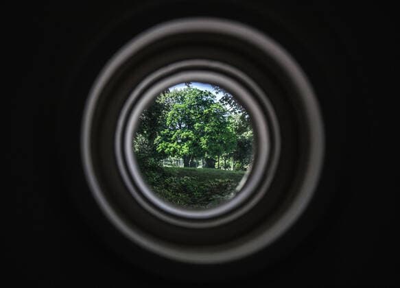 Symbolfoto Themenfoto ãFixierung auf das Wahlkampfthema KlimaschutzÒ zum Bundestagswahlkampf 2021 Kleve Museum Kurhaus. Ein Blick aus einem Türfenster am Rande der der Joseph Beuys Ausstellung ãIntuitionÒ Symbolfoto ãGrüne WahlkampfthemenÒ Symbolfoto ãNaturschutz im Fokus MittelpunktÒ Symbolfoto ãGlaube, Zuversicht, HoffnungÒ, Kleve Nordrhein Westfalen Germany