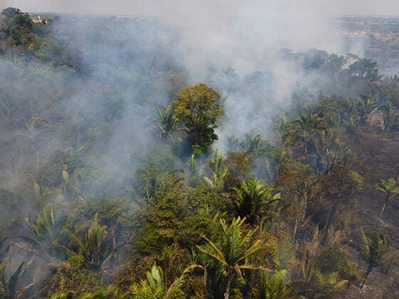 September 7, 2021, Porto Velho, Rondonia, Brazil: Burning of the Amazon Forest, in the city of Porto Velho, in the state of RondoÂ nia, on the afternoon of Tuesday 7th September. In June, the federal government issued a decree banning burning throughout Brazil for 120 days. Porto Velho Brazil - ZUMAs255 20210907_zip_s255_027 Copyright: xFernandoxSouzax