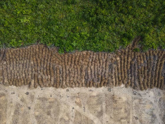 September 7, 2021, Porto Velho, Rondonia, Brazil: Burning of the Amazon Forest, in the city of Porto Velho, in the state of RondoÂ nia, on the afternoon of Tuesday 7th September. In June, the federal government issued a decree banning burning throughout Brazil for 120 days. Porto Velho Brazil - ZUMAs255 20210907_zip_s255_033 Copyright: xFernandoxSouzax