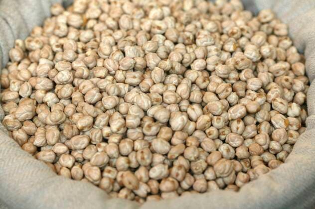 IMAGO Nature: Unsere Erde, Klimawandel, Ernährung, Pflanzen der Zukunft, Kichererbse Kichererbse, Echte Kicher, Römische Kicher, Kichererbsen, Schmetterlingsblütler, CHICKPEA IN A BASKET *** Chickpea, Chickpea, Roman chickpea, Chickpea, Buttercup, CHICKPEA IN A BASKET Copyright: imageBROKER/G.xLacz ibllag05303376.jpg