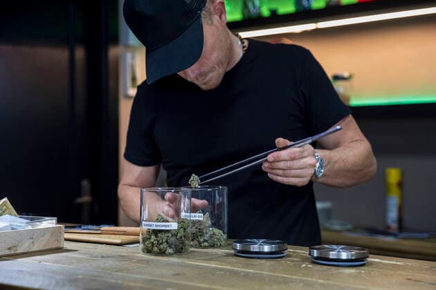 Crop unshaven male in cap with tweezers taking out dried hemp flower bud of container in workspace, Model released PabloGallardo_CannabisClub_37.jpg Copyright: xPabloxGallardox MR