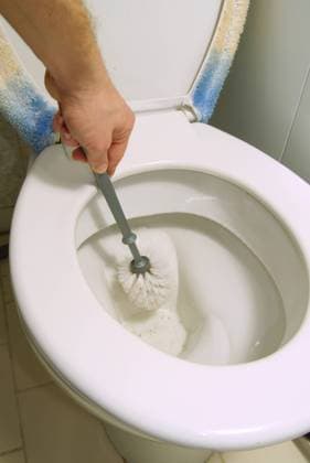IMAGO Creative: Frühjahrsputz toilette,hygiene,klobürste,klo,klosett,toiletten,wc,örtchen,reinheit,sauberkeit,klobürsten,toilettenbürste,toilettenbürsten,wc-bürste,wc-bürsten *** toilet,hygiene,toilet brush,sanitary facilities,sanitary facility,toilets,hygienes,toilet brushes ir4-nkn ,model released, Symbolfoto