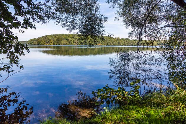 Blick auf See durch Ufervegetation, Schmaler Luzin, glazialer Rinnensee, Deutschland, Mecklenburg-Vorpommern, Naturpark Feldberger Seenlandschaft View onto the Lake Schmaler Luzin through the vegetation on shore, Germany, Mecklenburg-Western Pomerania, Natural Park Feldberger Seenlandschaft BLWS652242 *** View on lake through the vegetation on shore, Schmaler Luzin, glacial gully lake, Germany, Mecklenburg Western Pomerania, Natural Park Feldberger Seenlandschaft View onto the Lake Schmaler Luzin through the vegetation on shore, Germany, Mecklenburg Western Pomerania, Natural Park Feldberger Seenlandschaft BLWS652242 Copyright: xblickwinkel A.xHeldx