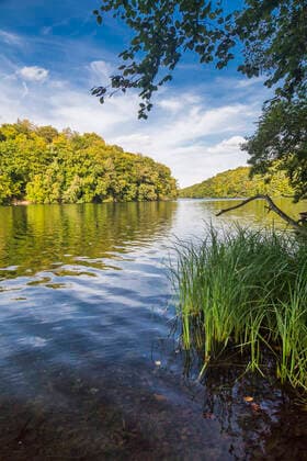 Bewachsenes Seeufer, Schmaler Luzin, Deutschland, Mecklenburg-Vorpommern, Naturpark Feldberger Seenlandschaft Lakeshore Lake Schmaler Luzin , Germany, Mecklenburg-Western Pomerania, Natural Park Feldberger Seenlandschaft BLWS652244 *** Overgrown lake shore, Schmaler Luzin, Germany, Mecklenburg Western Pomerania, Natural Park Feldberger Seenlandschaft Lakeshore Lake Schmaler Luzin , Germany, Mecklenburg Western Pomerania, Natural Park Feldberger Seenlandschaft BLWS652244 Copyright: xblickwinkel A.xHeldx