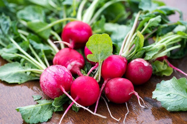 IMAGO Creative, Sommer, Food, Radieschen radieschen *** radish,radishs 3ro-fo7