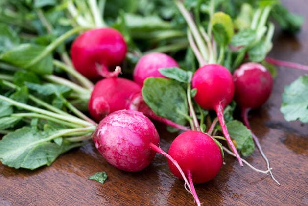 IMAGO Creative, Sommer, Food, Radieschen radieschen *** radish,radishs 3ro-fs8