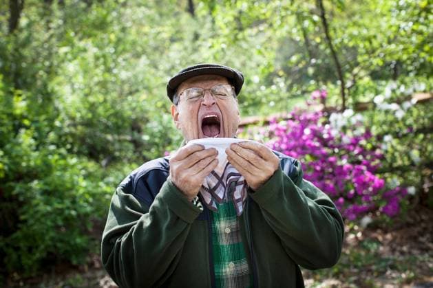 Senior man about to sneeze outdoors, 21.05.2012, Copyright: xStevexPrezantx, model released, wearing,front view,waist up,retirement,anticipation,active seniors,humor,young at heart,senior adult,75 to 79 years,caucasian ethnicity,male,senior man,only one senior man,one person,outdoors,rural,forest,day,casual clothing,handkerchief,eyeglasses,cap,jacket,mouth open,sneezing,illness,hay fever,lifestyle,leisure,cold and flu,May 2012 Release,Sneezing,Caucasian Ethnicity,Senior Adult,70-79 Years,75-79 Years,Male,Men,Senior Men,Anticipation,Humor,Young At Heart,Allergy,Hay Fever,Unwell,Illness,Cold And Flu,One Person,Mouth Open,Waist Up,Point Of View,Front View,Eyewear,Glasses,Casual Clothing,Handkerchief,Hat,Cap,Outerwear,Jacket,Symbol,Orthograp Ref:IS099NW9J
