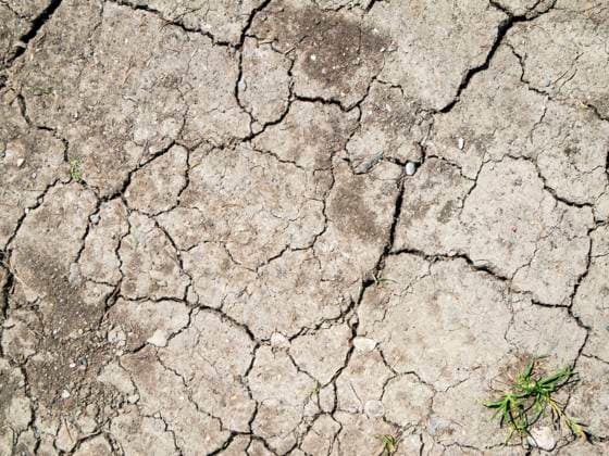 trockenheit,dürre,hitze,rissig,trocken,wasserarmut,wasserknappheit,wassermangel,heiss,heiß,riss,risse *** drought,heat,cracked,arid,droughts,dry,dryness,aridity,drouth,heats,crackeds lj3-jyu