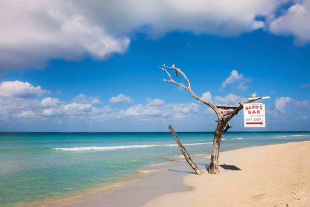 Seven Mile Beach, Negril, Jamaica, 05.06.2013, Copyright: xKarenxFoxx turquoise,abandonment,escape,calm,idyllic,peaceful,tranquil,tree,bare tree,sign,jamaica,outdoors,coast,beach,water s edge,sea,scenics,summer,day,jamaican culture,nobody,travel,vacation,cloud,blue sky,paradise,travel destination,beauty in nature,tourist destination,June 2013 Release,negril,seven mile beach,Escape,Heaven,Mood,Calm,Idyllic,Abandoned,Blue,Turquoise,No People,The Caribbean,Jamaica,Tree,Bare Tree,Message,Sign,Symbol,Orthographic Symbol,Numeral,Coastline,Beach,Sky,Cloud,Clear Sky,Flowing Water,Ocean,Water s Edge,Outdoors,Summer,Day,Nature,Beauty In Nature,Scenics,Religion,Christianity,Scripture,Bible,Old Testament,Garden Of Eden,Travel,Place Of Interest,Trave Ref:IS09A8PJ4