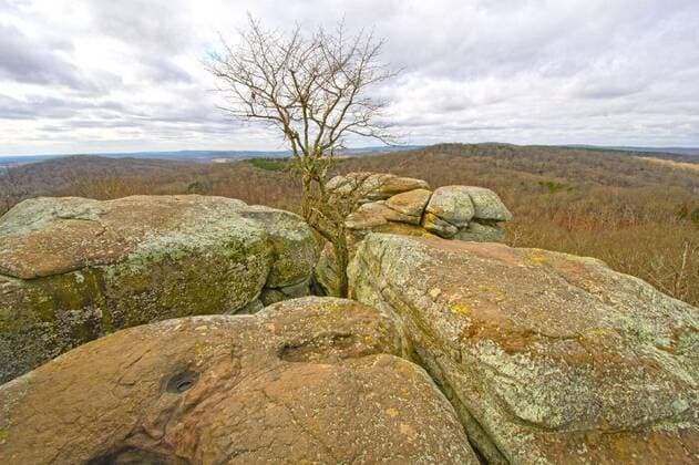  Lone Tree in the Rocks, 11.10.2020, Copyright: xwildnerdpixx Panthermedia21416073