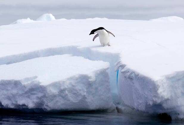 IMAGO Nature: Unsere Erde, Klimawandel, Arktische und Antarktische Eisschmelze Adelie Penguin on iceberg, ice floe in the southern ocean, 180 miles north of East Antarctica, Antarctica, 06.08.2013, Copyright: xBrettxPhibbsx looking,looking down,animal,penguin,adelie penguin,one animal,wildlife,white color,full length,solitude,adventure,curiosity,survival,uncertainty,nature,antarctica,outdoors,iceberg,sea,remote setting,winter,day,environmental issue,global warming,on top of,standing,ice,water,nobody,cold temperature,edge,natural environment,extreme terrain,beauty in nature,ice floe,southern ocean,August 2013 Release,Standing,Looking Down,Adventure,Curiosity,Solitude,Survival,Uncertainty,On Top Of,Remote,One Animal,No People,Edge,Cold,Antarctica,Full Length,Animal,Bird,Flightless Bird,Penguin,Symbol,Orthographic Sym Ref:IS09AA79N