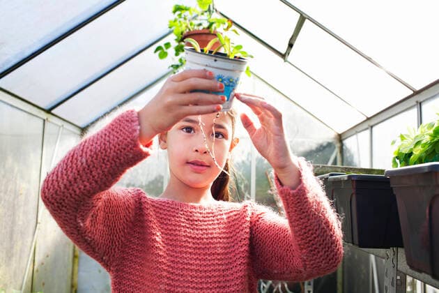 IMAGO Creative: Klimawandel - Umwelterziehung Girl holding plant pot, looking at roots, 18.11.2013, Copyright: xFrankxVanxDelftx, model released, wearing,gardening,holding,looking,touching,pink,front view,head and shoulders,portrait,botany,childhood,curiosity,discovery,achievement,awe,care,development,growth,nurturing,success,pride,nature,plant,root,flower pot,child,asian ethnicity,female,girl,only one girl,one person,greenhouse,indoors,day,sweater,environmental issue,science,6 to 7 years,knitwear,tending,November 2013 Release,Touching,Holding,Asian Ethnicity,Child,Elementary Age,6-7 Years,Female,Girls,Girl,Achievement,Success,Amazement,Awe,Care,Nurturing,Childhood,Curiosity,Development,Disciplines,Natural Science,Life Science,Biology,Botany,Growth,Pride,Pink,One Person,Head And Sho Ref:IS09AE0FB
