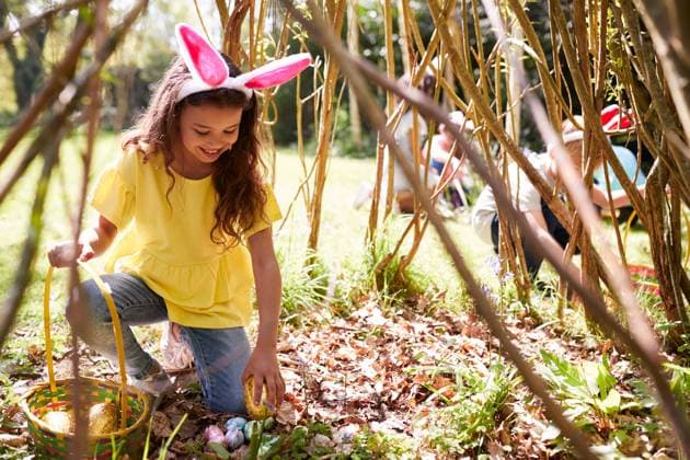 mädchen,ostern,osterei,finden,fest,osterfest,ostereier,fund,gefunden,gefundene,gefundener,gefundenes *** girl,easter,easter egg,finding,girls,easters,easter eggs mmq-zu5 ,model released, Symbolfoto