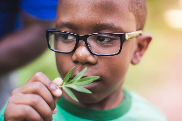 IMAGO Creative: Klimawandel - Umwelterziehung Boy smelling plant in parkland eco camp, 01.09.2014, Copyright: xChadxSpringerx, model released, wearing,learning,holding,camping,smelling,looking up,green color,close-up,differential focus,front view,head and shoulders,aroma,childhood,curiosity,discovery,responsibility,harmony,innocence,nurturing,sharing,togetherness,unity,well being,nature,plant,25 to 29 years,child,african american ethnicity,male,boy,man,young man,two people,outdoors,rural,forest,summer,day,casual clothing,eyeglasses,t-shirt,education,environmental issue,environmental conservation,son,father,single parent,lifestyle,leisure,family life,family with one child,6 to 7 years,only male,male bonding,holding up,September 2014 Release,Thinking,Learning,Holding,Smelling ,Looking Ref:IS09AK913