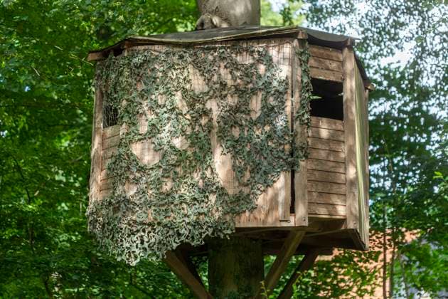 IMAGO Creative, Leben im Bamhaus baumhaus,baumhäuser *** tree house,tree houses vly-hdq