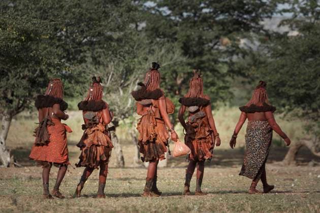 IMAGO Cultures of the world, Himba Volk in Namibia Group of Himba women walking away, rear view, Namibia, Africa, 27.10.2014, Copyright: xLostxHorizonxImagesx, model released, differential focus,full length,rear view,real people,idyllic,togetherness,tranquil,unity,confidence,tree,decoration,mature adult,50 to 54 years,mid adult,30 to 34 years,35 to 39 years,young adult,20 to 24 years,25 to 29 years,hair,female,woman,mature woman,mid adult woman,only women,young woman,five people,medium group of people,partially clothed,namibia,kaokoveld,outdoors,day,headwear,traditional clothing,african culture,travel,ornate,traditional culture,travel destination,southern africa,only female,tribe,indigenous people,himba people,adorned,walking away,November 2014 Release,opuwo,Mature Adult,50-54 Years,Mid Ref:IS09AL74I