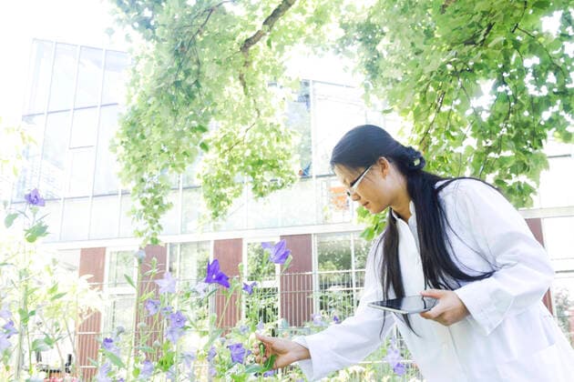 IMAGO Creative: Klimawandel - Zukunft und Innovation Young female scientist with digital tablet outside laboratory selecting specimen plants, 20.07.2015, Copyright: xSigridxGombertx, model released, choosing,wearing,picking,looking,testing,working,concentration,connections,control,precision,accuracy,cultivation,growth,innovation,plant,flower,25 to 29 years,korean ethnicity,female,woman,young woman,only one young woman,one person,lab technician,scientist,laboratory,outdoors,day,eyeglasses,lab coat,protective clothing,communication,experiment,technology,digital tablet,medicine,science,biology,biochemistry,advancement,building exterior,monitoring,portability,wifi,biotechnology,only female,health-and-safety,specimen,research and development,healthcare,using digital tablet,update,July 2015 Rele Ref:IS09AS6X0