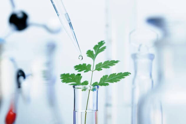 IMAGO Creative: Klimawandel - Zukunft und Innovation Biotechnology research. A precision micropipette is used to transfer a small amount of liquid to a test tube with a green leaf. Out-of-focus laboratory glassware, 23.06.2016, Copyright: xGIPhotoStockx research,green color,white color,close-up,differential focus,studio shot,concepts,discovery,precision,preparation,accuracy,growth,innovation,nature,plant,leaf,chemical,transparent,scientific equipment,pipette,test tube,indoors,laboratory,experiment,liquid,droplet,nobody,science,chemistry,biotechnology,glassware,research and development,micropipette,shallow focus,pipetting,transfer,July 2016 Release,Accuracy,Curiosity,Disciplines,Natural Science,Physical Science,Chemistry,Growth,Innovation,Precision,Preparation,Research,Biotechnology,No Peop Ref:IS09AZ5N4