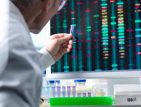 DNA Research, Scientist holding up a DNA sample with results on the computer screen, 21.02.2017, Copyright: xAndrewxBrookesx, model released, wearing,research,genetic research,colorful,concentration,focus concept,individuality,innovation,mature adult,50 to 54 years,caucasian ethnicity,male,man,mature man,only one mature man,one person,scientist,indoors,laboratory,lab coat,protective clothing,experiment,DNA,computer monitor,science,biology,biochemistry,advancement,comparing,genetic,result,biotechnology,analyzing,researcher,healthcare,eppendorf tube,human sample,science and technology,February 2017 Release,Analysing,Thinking,Concentration,Caucasian Ethnicity,Mature Adult,50-54 Years,Male,Men,Mature Men,Science Occupation,Comparison,Discipl Ref:IS09B53QA