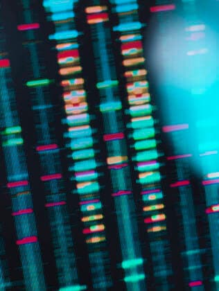 DNA Research, DNA finger print test results on a computer screen in the laboratory, 21.02.2017, Copyright: xAndrewxBrookesx , property released, research,genetic research,close-up,colorful,individuality,innovation,indoors,laboratory,experiment,DNA,computer monitor,nobody,science,biology,biochemistry,advancement,genetic,result,biotechnology,fingerprint,healthcare,science and technology,February 2017 Release,Disciplines,Natural Science,Life Science,Biology,Individuality,Innovation,Research,Genetic Research,Biotechnology,Colourful,No People,Fingerprint,Experiment,Close-Up,Computer,Computer Monitor,Symbol,Orthographic Symbol,Numeral,Research Facility,Laboratory,Particle,Molecule,Nucleic Acid,Dna,Indoors,Healthcare And Medicine,Science Ref:IS09B53QC