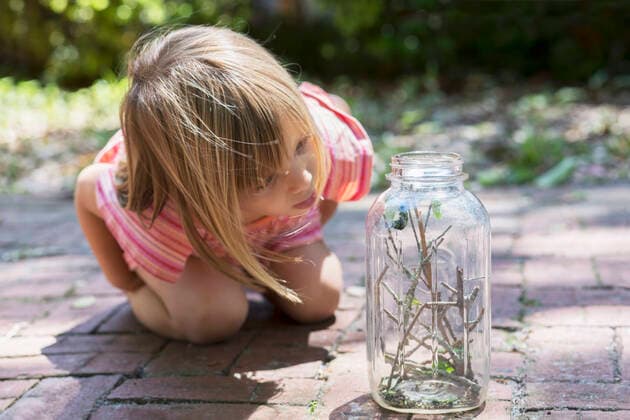 IMAGO Creative: Klimawandel - Umwelterziehung Girl leaning forward to watch caterpillar jar in garden, 13.07.2017, Copyright: xKinzie+Riehmx, model released, learning,kneeling,leaning forward,animal,insect,one animal,wildlife,young animal,blond hair,pink,focus on foreground,front view,striped,three quarter length,at home,childhood,concentration,curiosity,discovery,cute,fascination,growth,innocence,nurturing,patience,progress,enthusiasm,nature,twig,jar,child,caucasian ethnicity,girl,only one girl,one person,united states of america,florida,orlando,outdoors,garden,summer,day,dress,education,environmental issue,environmental conservation,bob,lifestyle,leisure,candid,monitoring,4 to 5 years,only female,Star Images,animal themes,caterpillar,July 2017 Release,Kneeling,Thinking,Concentrati Ref:IS09B6LC9