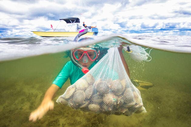 IMAGO Creative: Klimawandel - Umwelterziehung Girl collecting scallops in grass meadow underwater, 26.09.2017, Copyright: xRomonaxRobbinsxPhotographyx, model released, diving,fishing,differential focus,underwater,investment,abundance,adventure,childhood,discovery,real people,fun,healthy eating,enthusiasm,happiness,collection,diving mask,child,10 to 11 years,female,girl,only one girl,one person,people in the background,outdoors,sea,seabed,day,action,education,environmental issue,water,leisure,sport,vacation,cloud,boat,adventure travel,net,prosperity,organic,health,swimming,scallop,seagrass,split view,resourceful,arms reaching out,September 2017 Release,Diving,Swimming,Fishing,Child,Pre-Adolescent Child,10-11 Years,Female,Girls,Girl,Incidental People,People In The Background,Abundance Ref:IS09B887U