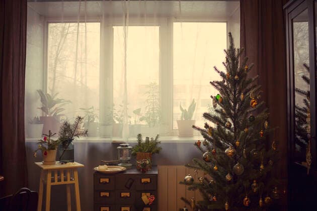 Christmas tree and potted plants by window, 19.07.2018, Copyright: xChuvashovxMaximx , property released, hobby,festive,happiness,nature,plant,potted plant,bauble,christmas tree,side table,ornament,window,indoors,day,celebrations,christmas,nobody,kerosene lamp,sheer,holiday season,July 2018 Release,Celebration,Enjoyment,Festivity,Wellbeing,Happiness,No People,Christmas,Potted Plant,Decoration,Christmas Decoration,Christmas Tree,Christmas Ornament,Lamp,Oil Lamp,Furniture,Table,Side Table,Ornament,Symbol,Orthographic Symbol,Numeral,Window,Indoors,Day,Hobby,Nature Ref:IS09BL1CM