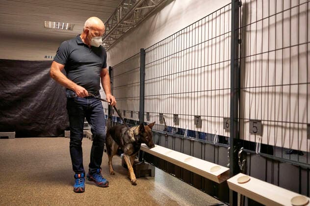 Ein Corona-Spürhund untersucht beschnüffelt die Schweißproben der Konzertbesucher bei einem Testkonzert mit Fury in the Slaughterhouse im Rahmen der Konzertreihe Back to Culture in Verbindung mit einer Teststudie mit Corona-Spürhunden auf der Gilde Parkbühne. Hannover, 19.09.2021