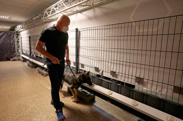 Ein Corona-Spürhund untersucht beschnüffelt die Schweißproben der Konzertbesucher bei einem Testkonzert mit Fury in the Slaughterhouse im Rahmen der Konzertreihe Back to Culture in Verbindung mit einer Teststudie mit Corona-Spürhunden auf der Gilde Parkbühne. Hannover, 19.09.2021