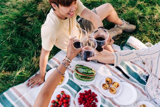 Friends toasting drinks while sitting on picnic blanket model released Symbolfoto ASGF01397